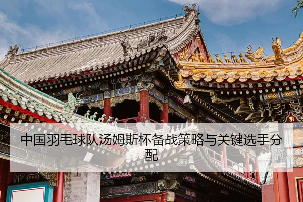 中国羽毛球队汤姆斯杯备战策略与关键选手分配
